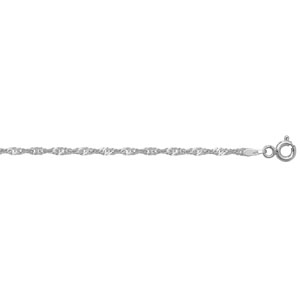 9ct White Gold 24" Singapore Chain 